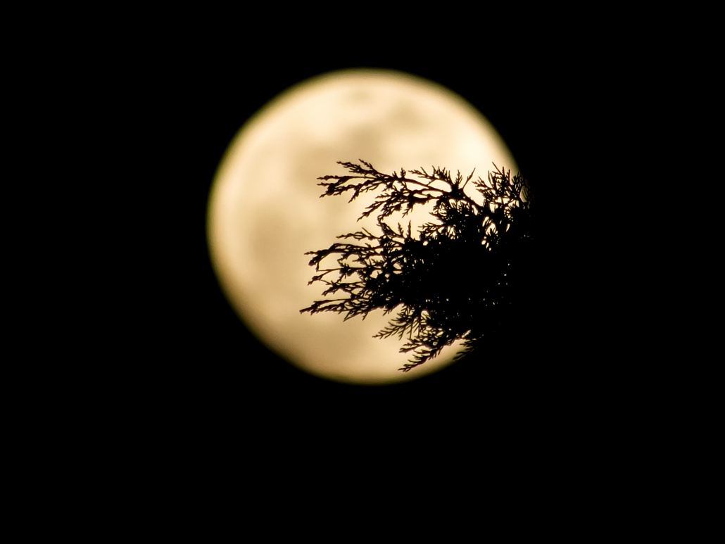 Full moon